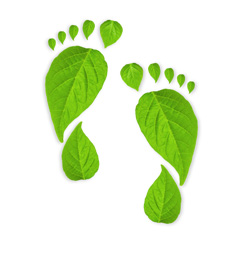 carbon-footprint